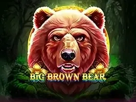 Big Brown Bear game screenshot